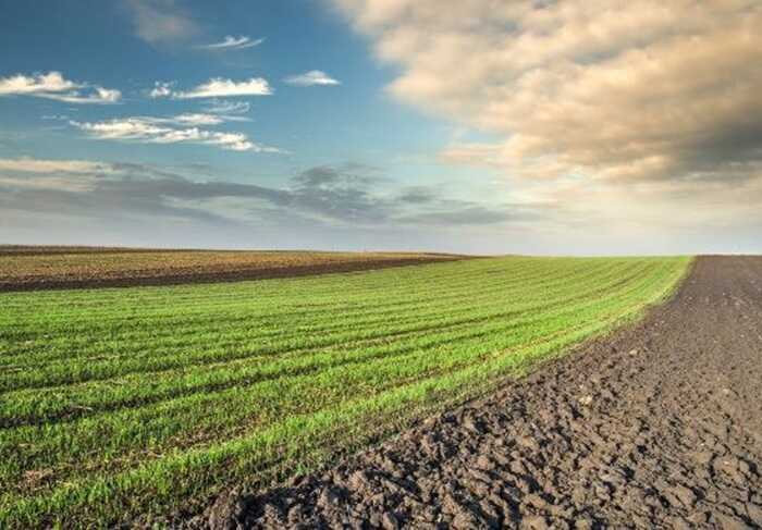 СБУ повернула державі близько 100 гектарів землі на Київщині, які перебували у власності росіян