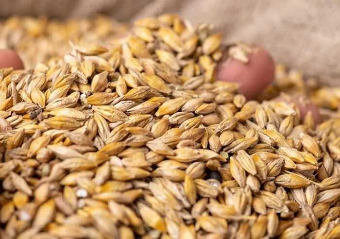 Євросоюз збереже частину квоти для агропродукції з України